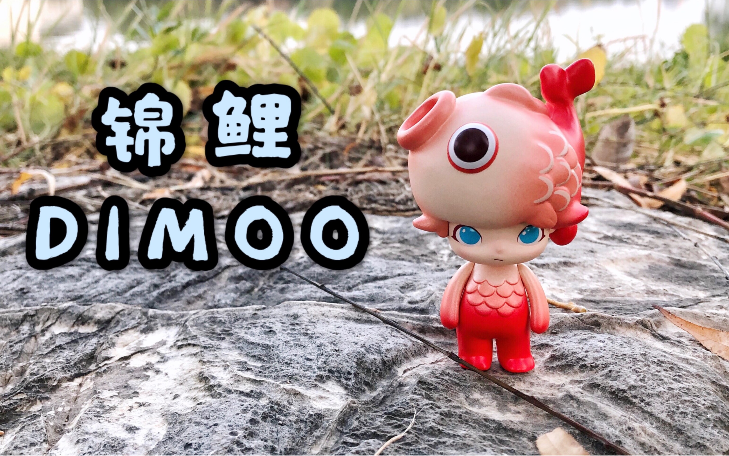 盲盒拆尊贵的dimoo隐藏锦鲤