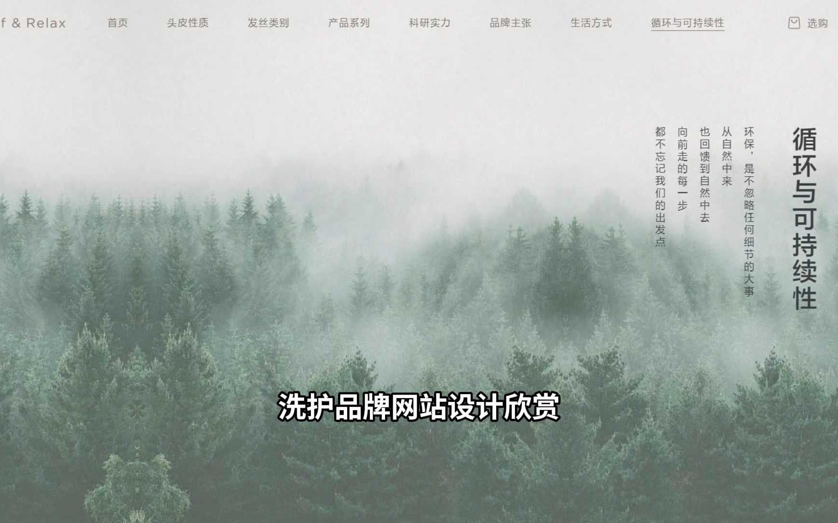 派迪科技助力品牌网站设计 | 打造珀莱雅旗下洗护品牌官网哔哩哔哩bilibili