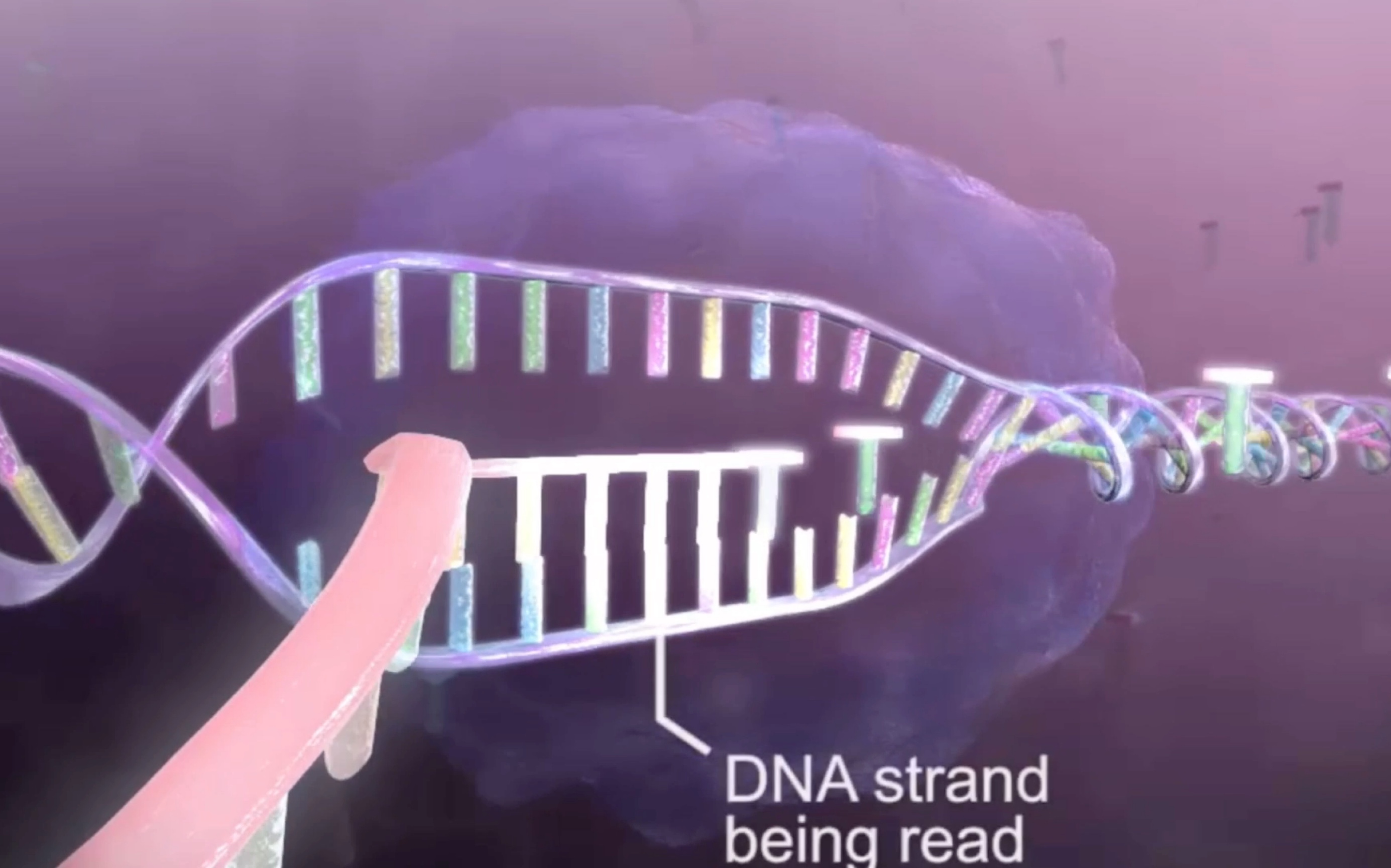 转录和翻译过程看过不会忘|生物化学,细胞生物学哔哩哔哩bilibili