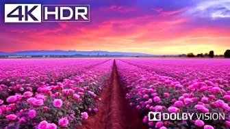 Télécharger la video: 【4KHDR 真彩®】  最佳杜比视界™ 画质景色