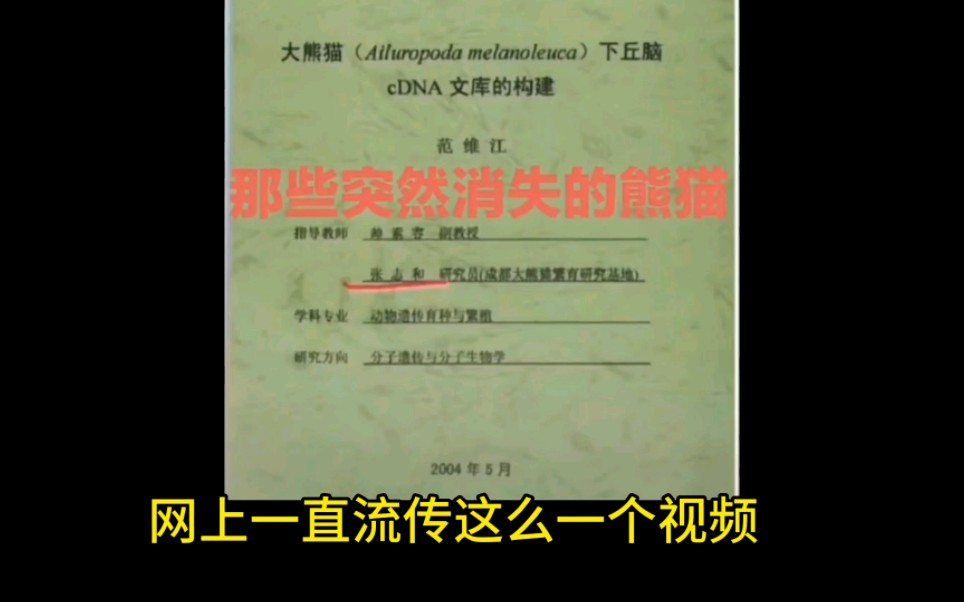 这是对大熊猫幼崽娇阳网传离世原因的一个辟谣哔哩哔哩bilibili