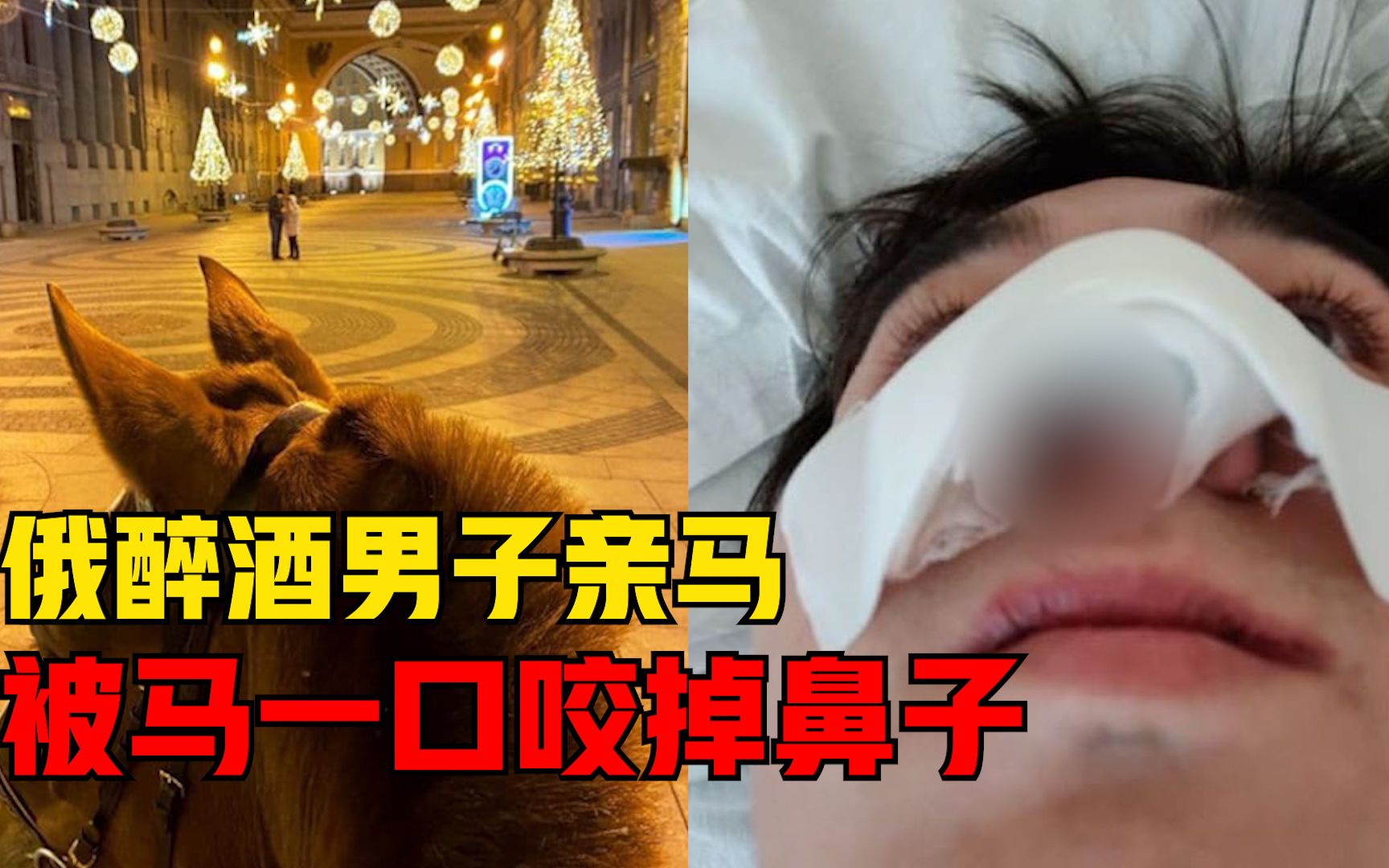俄罗斯一男子喝醉后对马"耍流氓",被马一口咬掉鼻子_哔哩哔哩 (゜-゜)