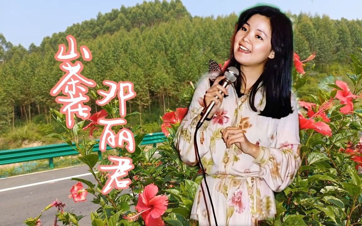 山茶花 邓丽君经典mv 音画时尚 听一首老歌