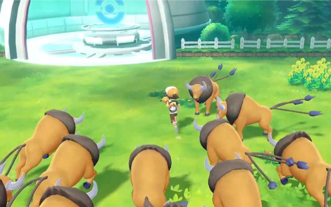 30只肯泰罗体验大木博士家的后院