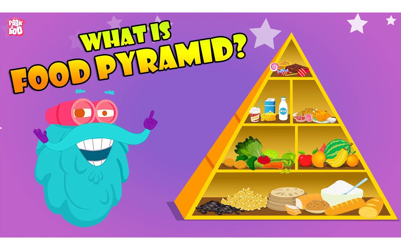 [图]FOOD PYRAMID _ How Different Foods Affect Your Body _ The Dr Binocs Show _ Peeka