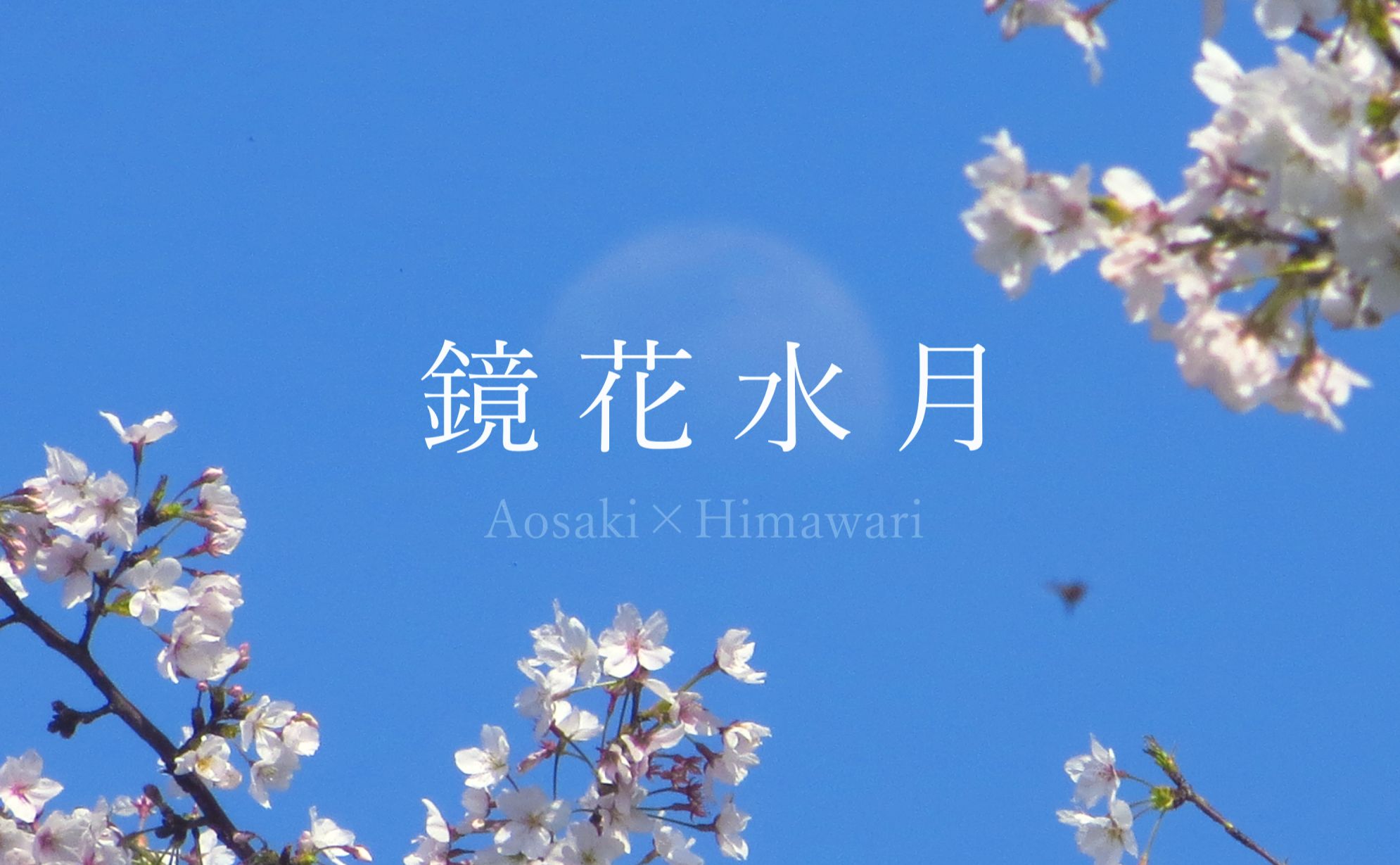 [图]【Aosaki×Himawari】鏡花水月（Lyric Video）【原创曲】