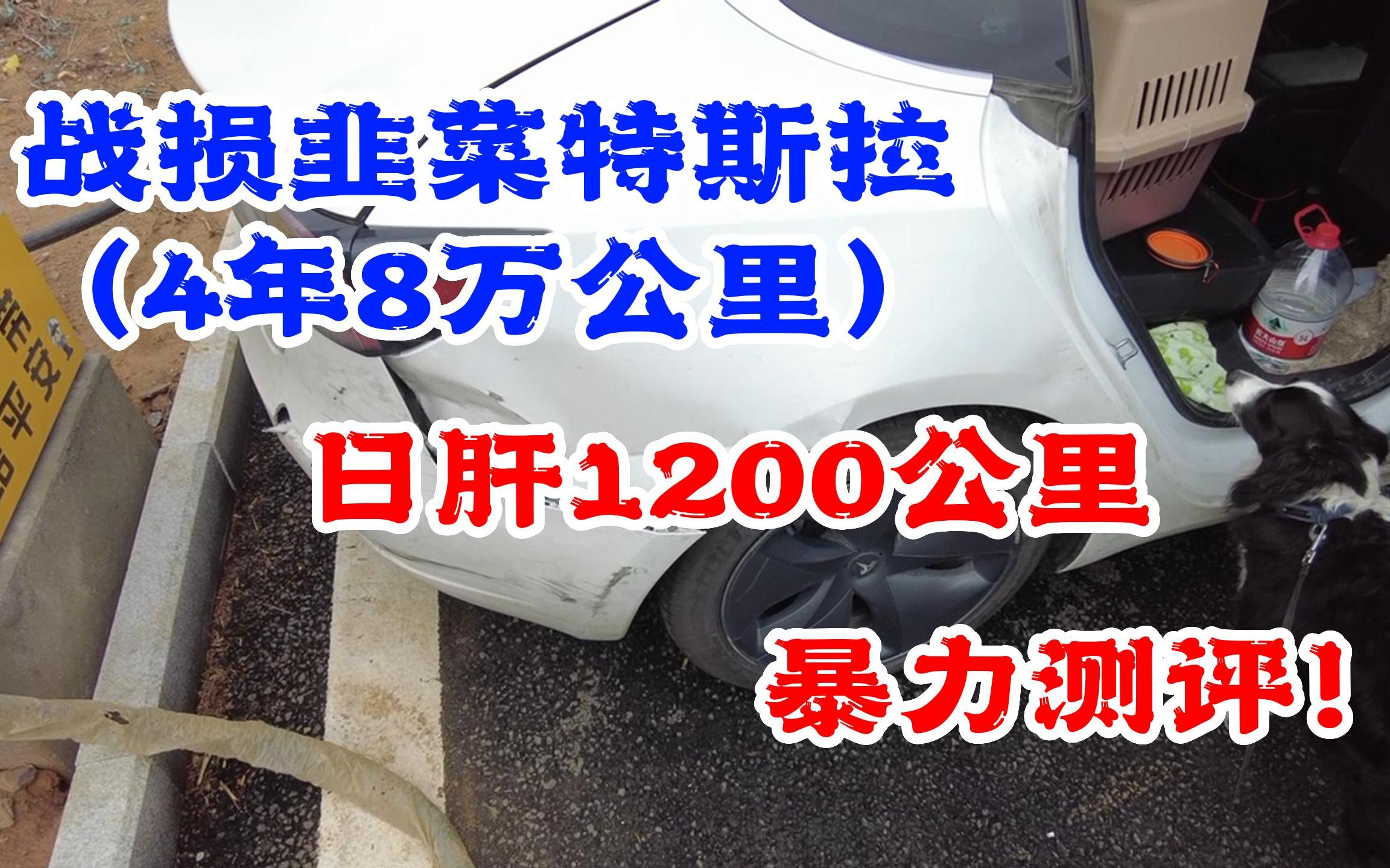 一人一狗一破电车,回家,暴力测评4年8.5万公里特斯拉的续航哔哩哔哩bilibili