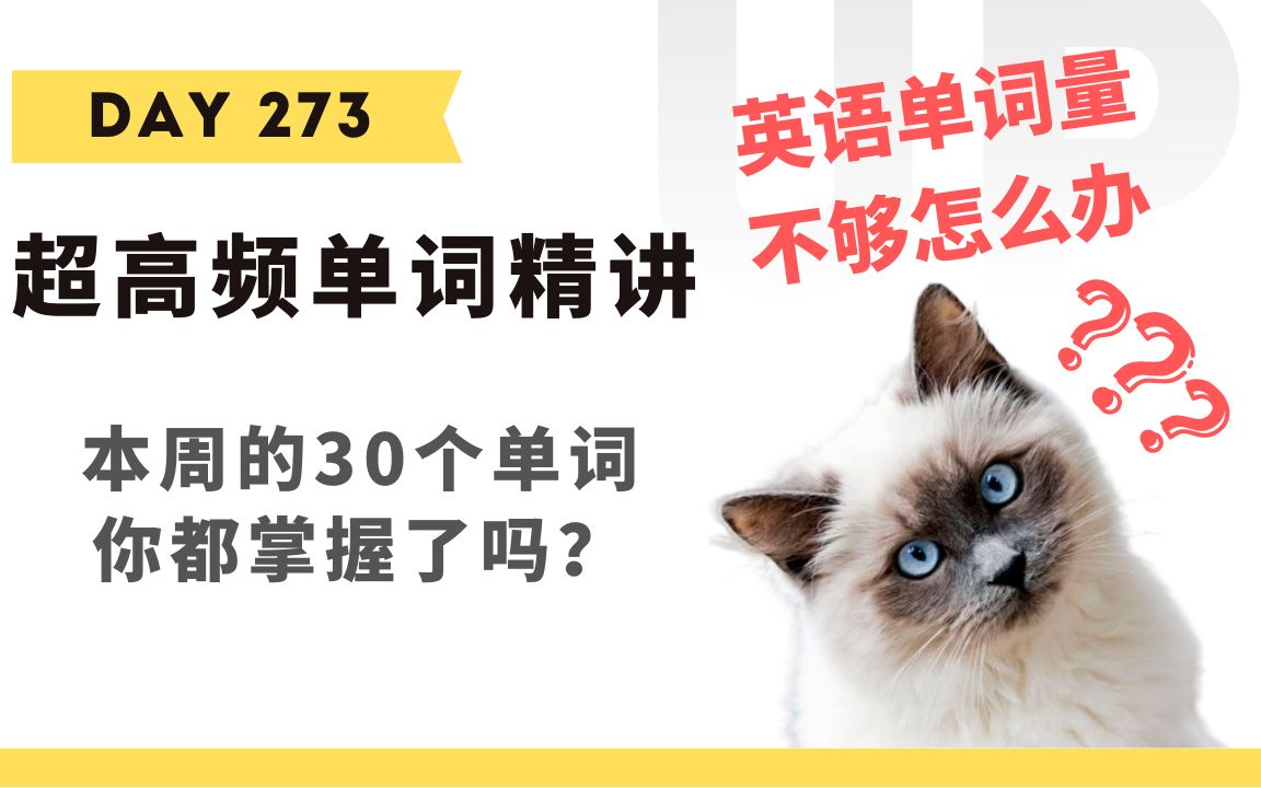 【学英语】十分钟掌握必背单词Day 273:每周复习(39)哔哩哔哩bilibili