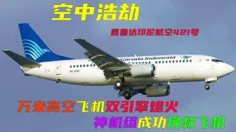 Download Video: 一次堪称“奇迹”的水上迫降，嘉鲁达印尼航空421号，空中浩劫