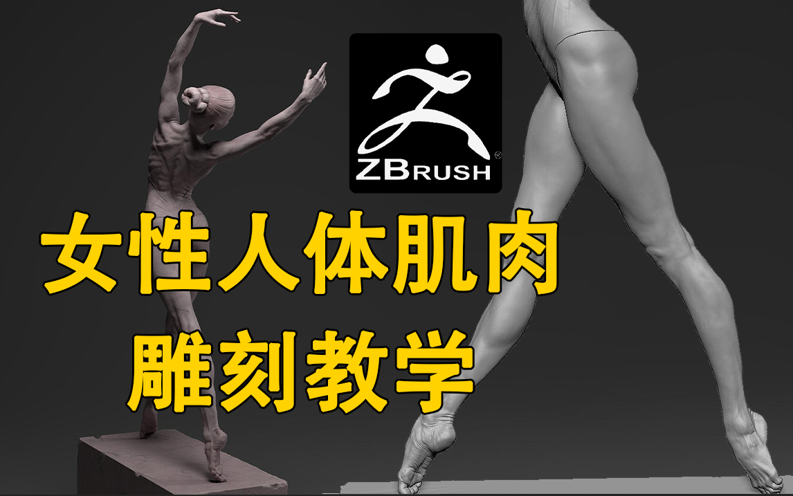 zbrush新手人体雕刻必练