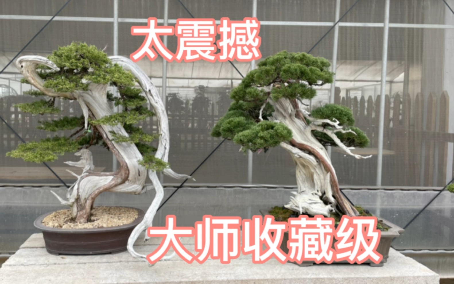 伟德bv1946官网-丰隆海纹中心-苏州高铁新城约2499米艺术超塔-丰隆海纹中心珍藏级湖景大平层