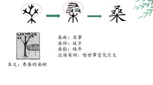 小鸡说字理 与动物有关的汉字 走兽类 哔哩哔哩 つロ干杯 Bilibili