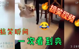 搞笑视频：好像体验飞一般的感觉（奈何腿太短）不信你不笑努力憋笑五秒钟