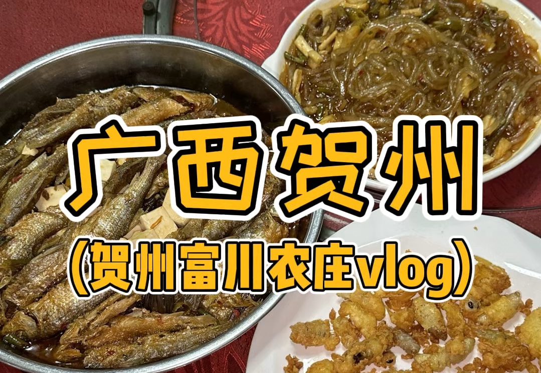 广西贺州行之富川农庄vlog哔哩哔哩bilibili