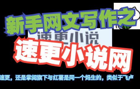 新人入坑写网文疑惑——小说网站怎么选?(速更小说网)第n弹!哔哩哔哩bilibili