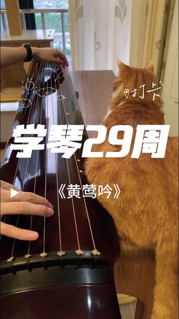 29周|其实我学的第一个曲子是《黄莺吟》,这周交的作业是《秋风辞》,老师说我进步很大,终于会控制气息了,撒花𐟎‰~学琴第一个阶段是憋气,第二个...