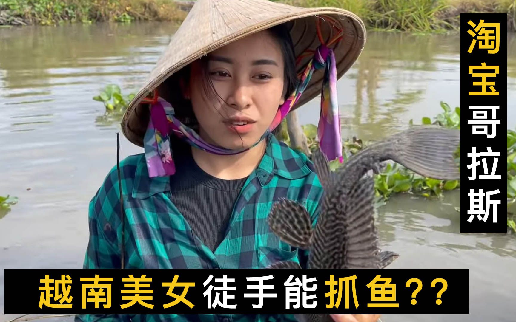 越南美女小美竟能徒手抓鱼真是相貌身材和劳动能力聚集一身