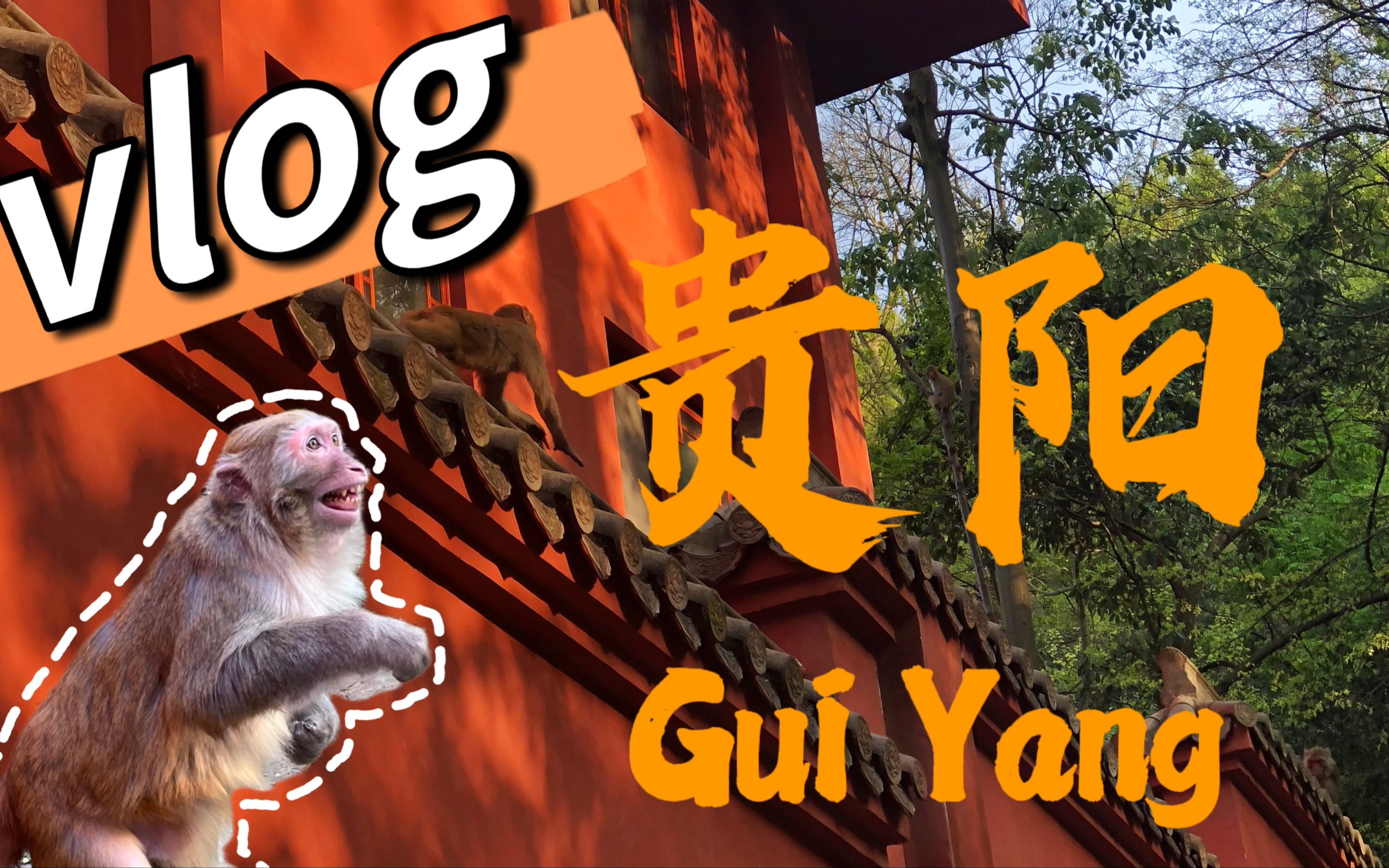 vlog|黔灵山的猴子精彩程度堪比大马戏|贵阳旅游Day3哔哩哔哩bilibili