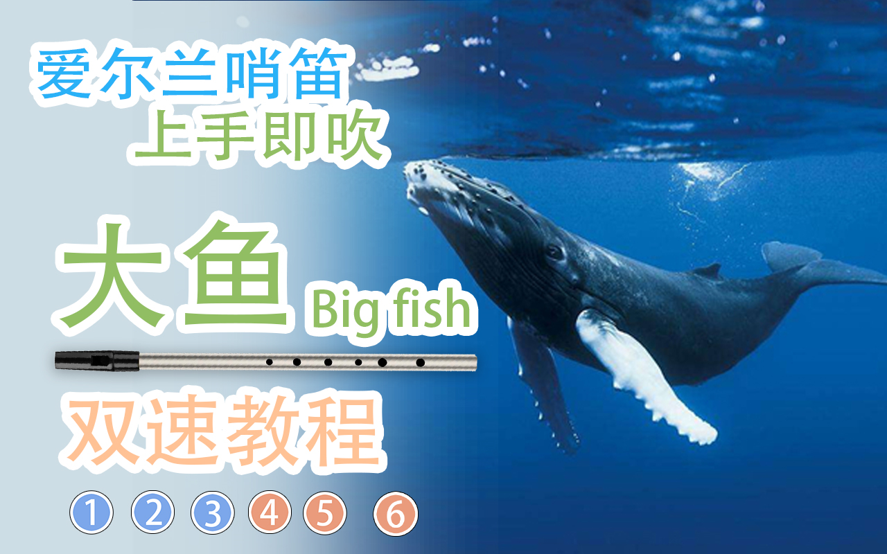 [图]【爱尔兰哨笛】大鱼 – Big fish 新手快慢双速指法详解教程【熊猫教程】