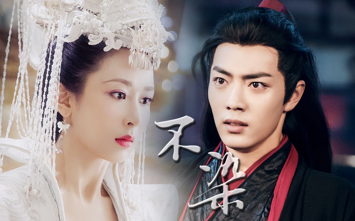 肖战杨紫前方高虐请毛老师闭麦