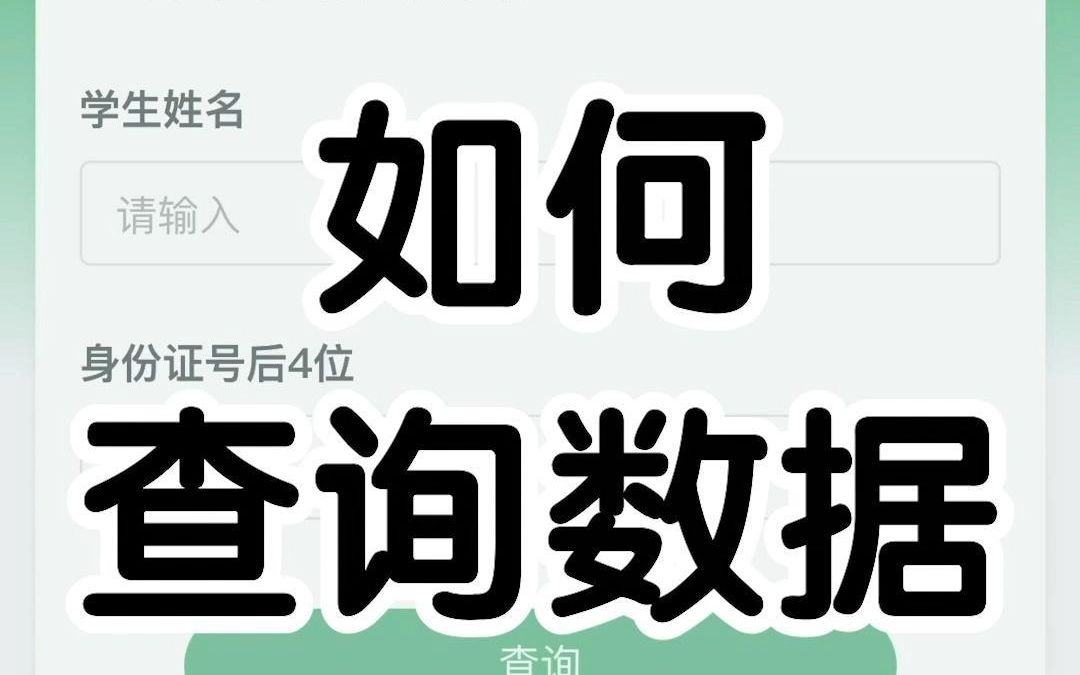 查询人如何使用来豹查查,查询数据呢?哔哩哔哩bilibili