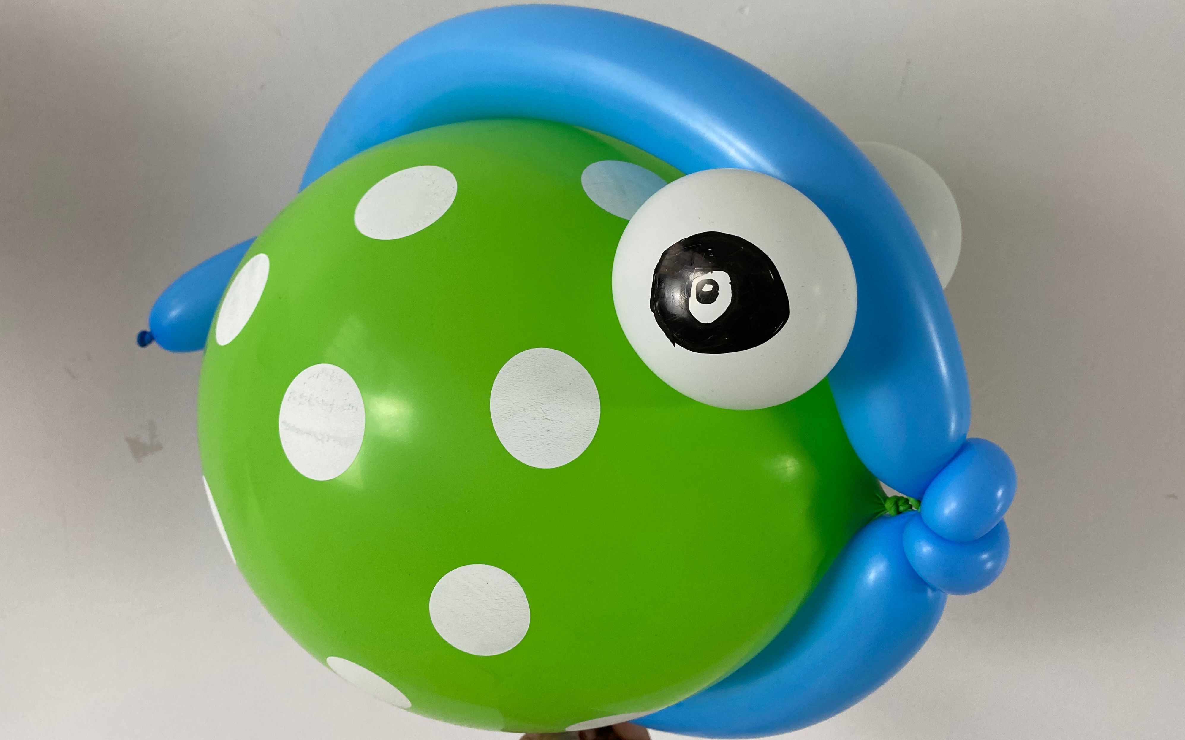 胖嘟嘟小鱼气球制作视频 海洋气球派对小鱼(一)_哔哩哔哩 (゜-゜)つロ