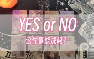 下载视频: 【塔罗喵】快占！默念一个问题，YES or NO！只看一次版 无时限