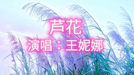 [图]王妮娜的《芦花》清脆高亢，经典老歌，百听不厌。