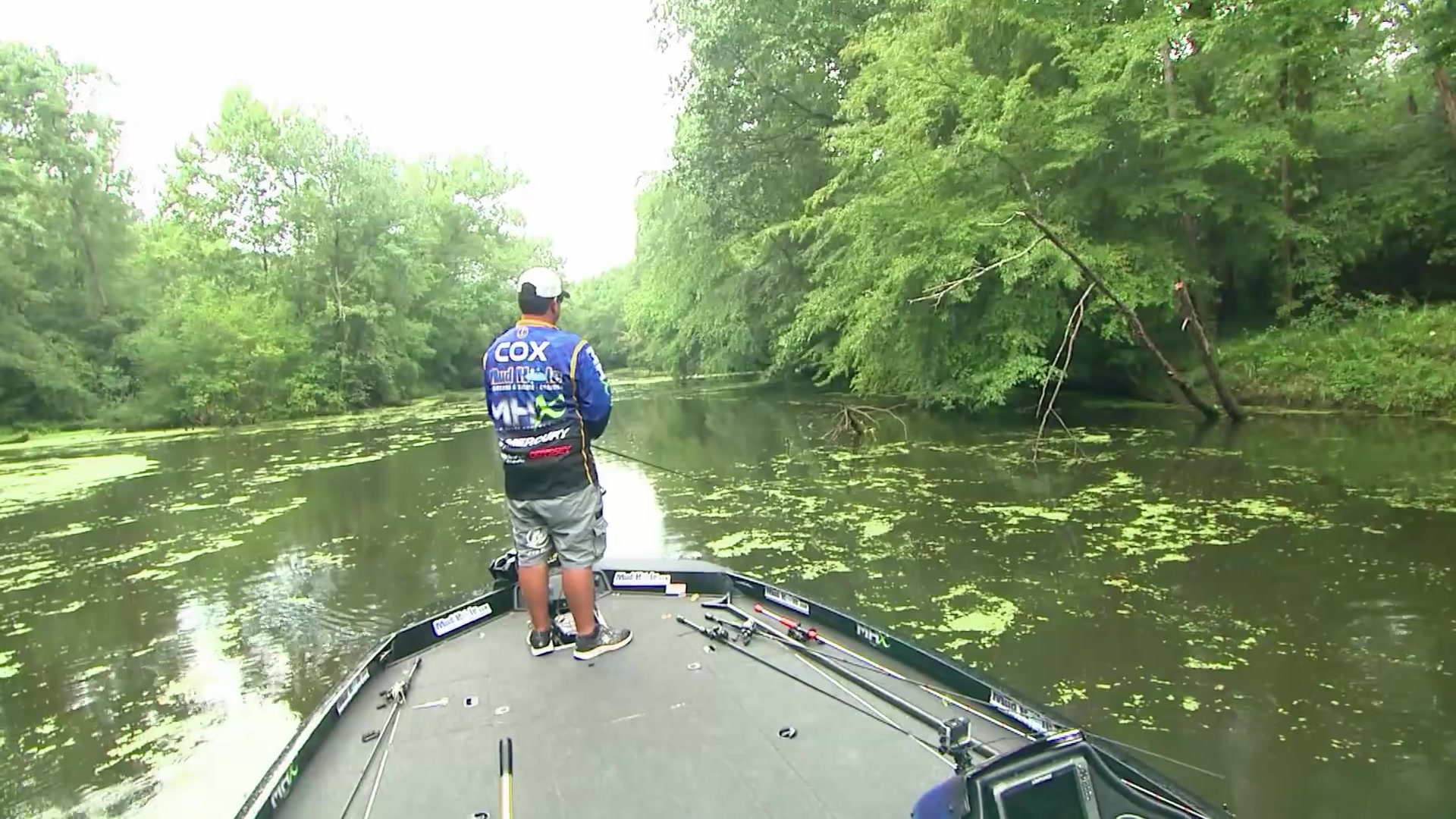 2016美国职业路亚比赛flwtvforrestwoodcupwheelerlake