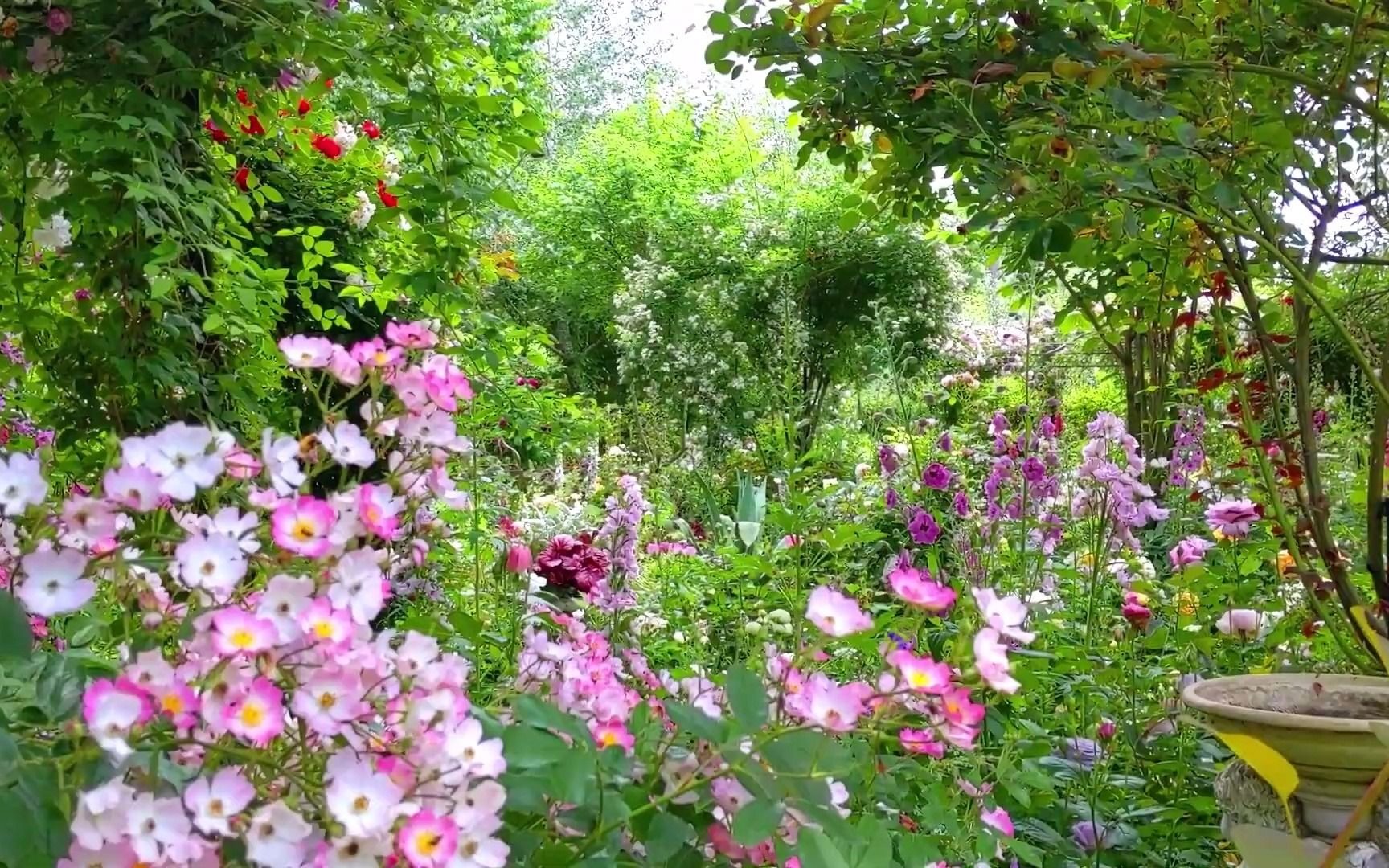 [图]日本花园丨东京附近的秘密玫瑰园Le Jardin Secret