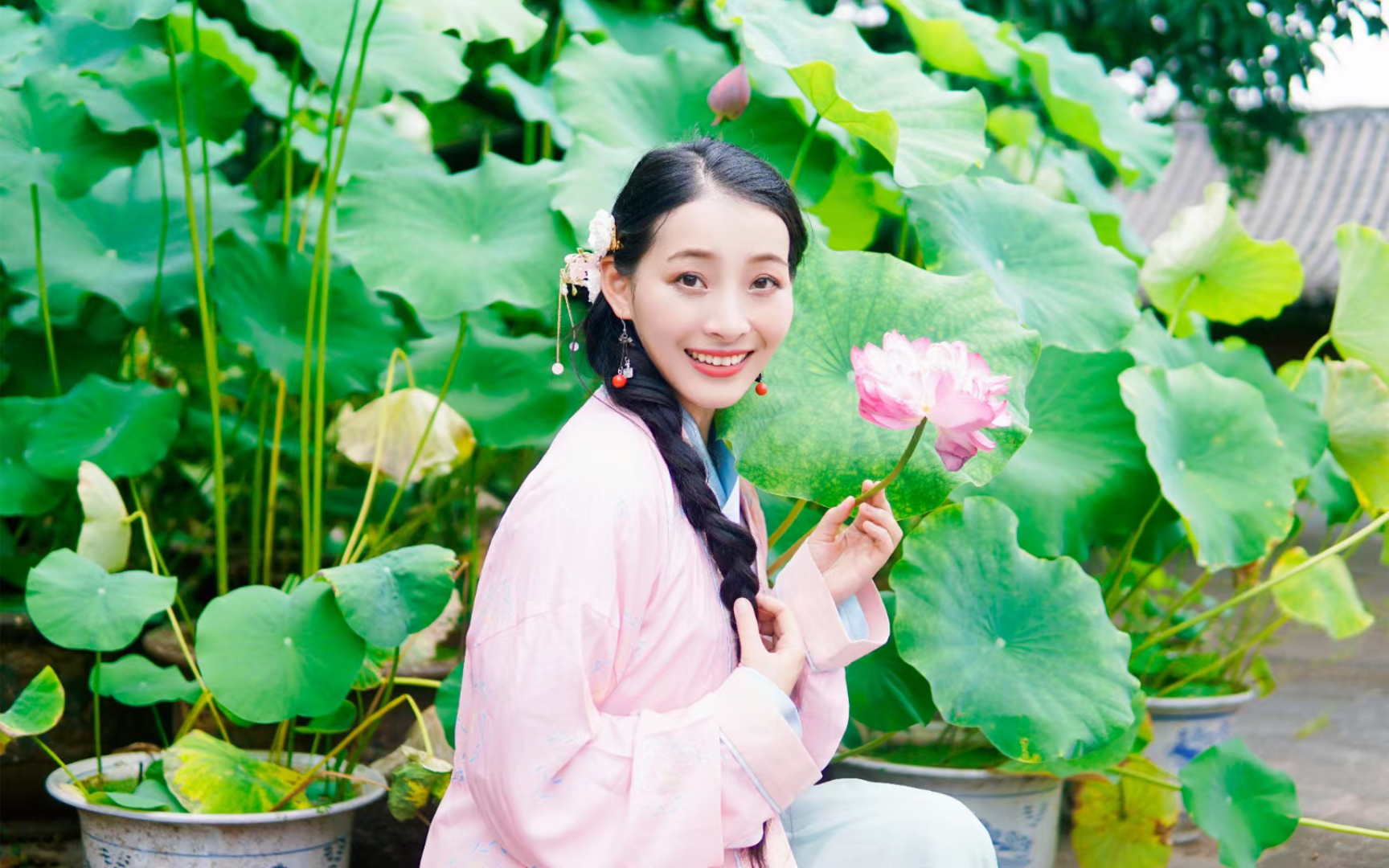【小张同学】荷花限定
