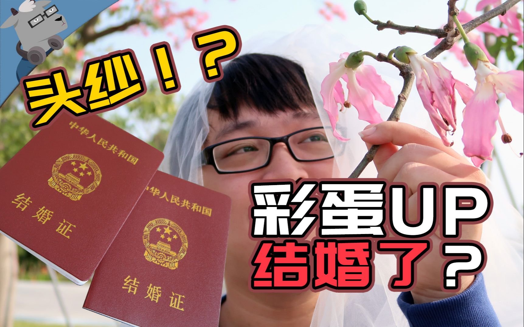 羊羊君vlog无耻图片