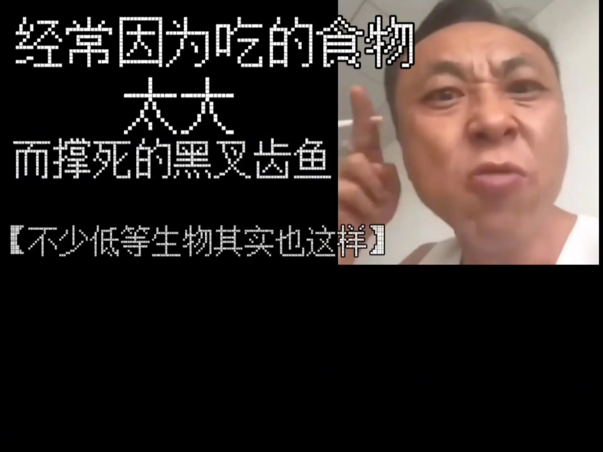 黑叉齿鱼:胃袋这一块/._哔哩哔哩_bilibili