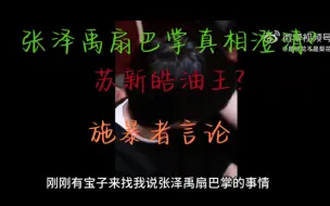 Descargar video: 张泽禹扇巴掌真相大赏，同事冷漠?苏新皓澄清打破人设xnb