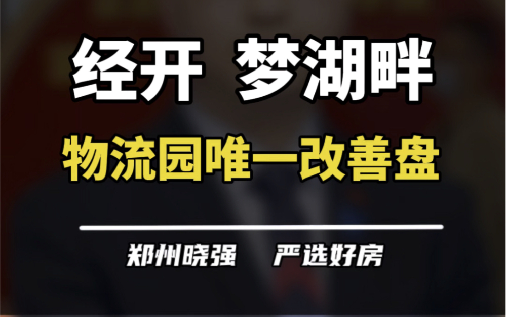 梦湖畔怎么样?经开物流园片区的改善楼盘!#梦湖畔 #梦湖 #经开物流园区 #经开区 #买房建议哔哩哔哩bilibili