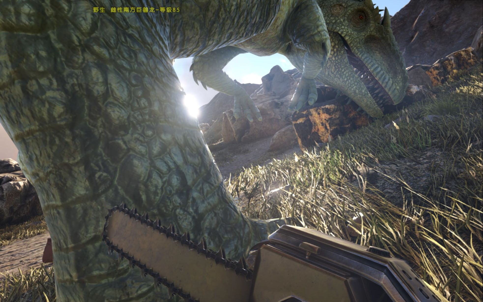 方舟生存进化冰狗bug锯晕南巨