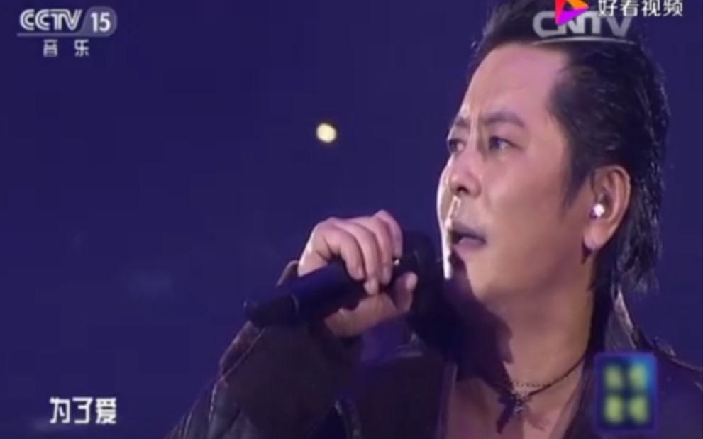 [图]【王杰】歌曲《为了爱梦一生》 CCTV15 2015北京演唱会（HQ）【LIVE 】【高清】现场