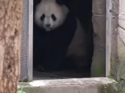 Скачать видео: 爱爱:今天猫不收，框框也不收，恁们怎么回事