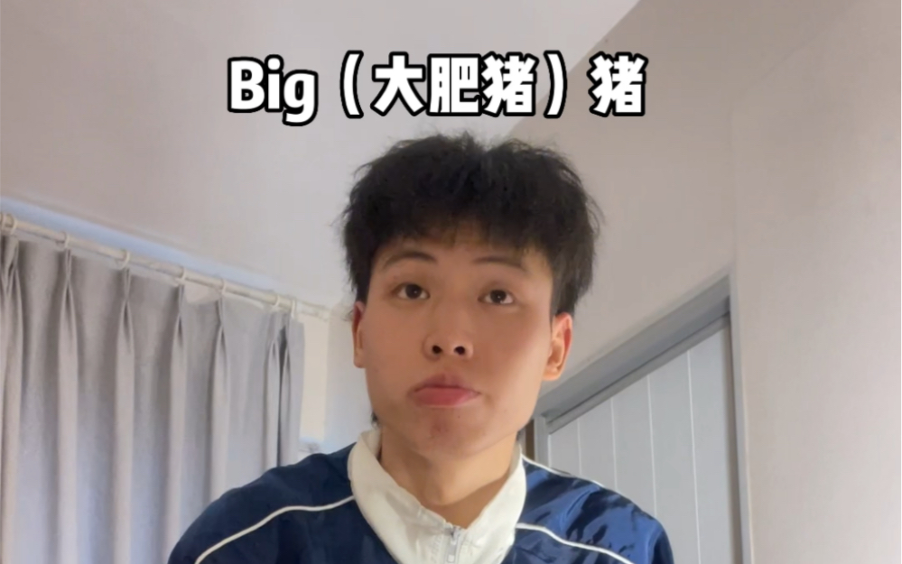 Big➕Pig=大肥猪????哔哩哔哩bilibili