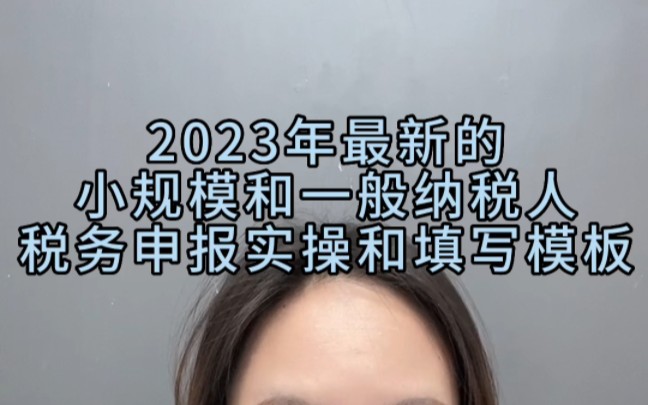 2023年最新的小规模和一般纳税人的税务申报实操手册以及申报填写模板,都已经给大家整理好了,直接照着填就行!哔哩哔哩bilibili