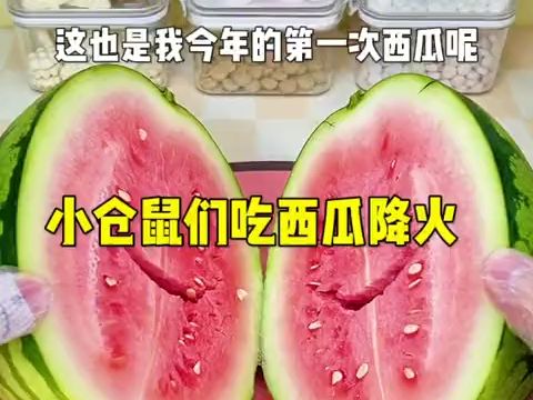 吃瓜瓜拜拜火~最后那个逆子怎么又吃又拿的哔哩哔哩bilibili