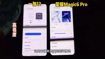 一加12和荣耀Magic6 Pro屏幕频闪对比