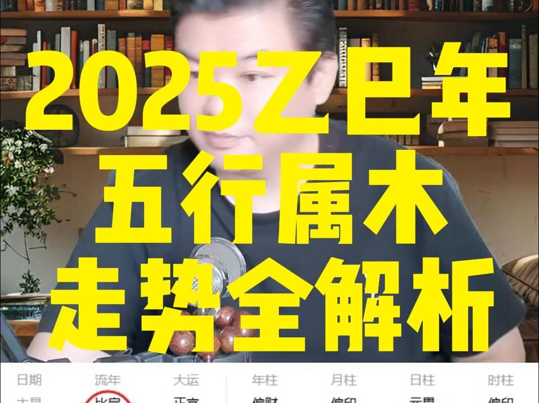 2025乙巳年,五行属木,运势全解析哔哩哔哩bilibili