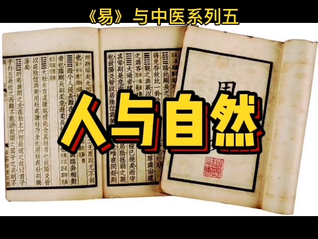 《易》与中医5:人与自然哔哩哔哩bilibili