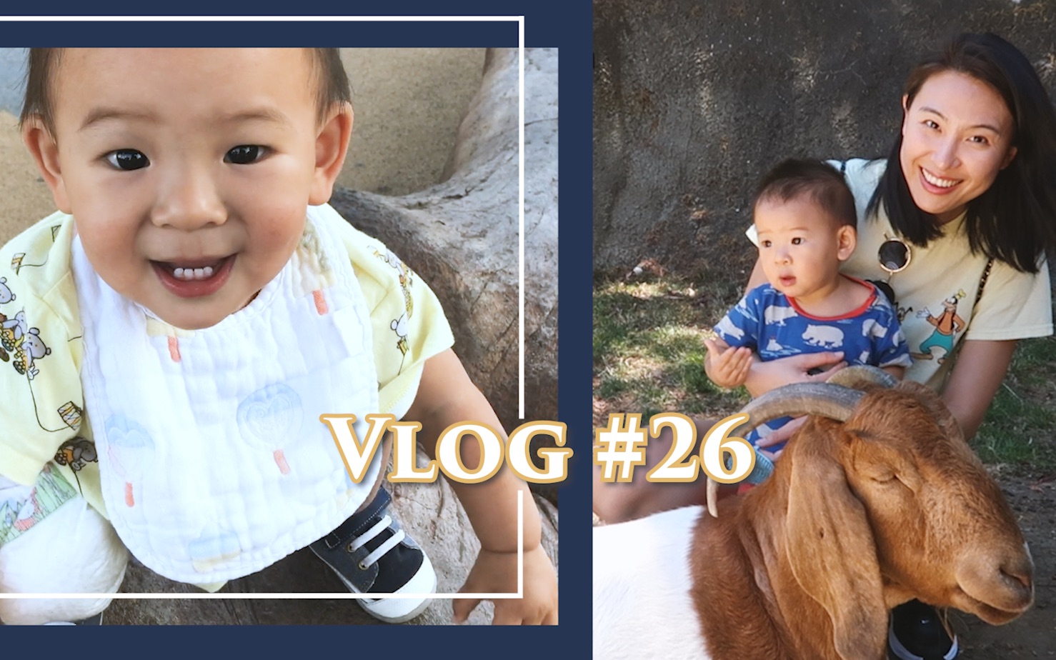 Vlog #26 搬家后的新生活 | 在湾区颠沛流离的日子 | 海星成长碎片记录哔哩哔哩bilibili