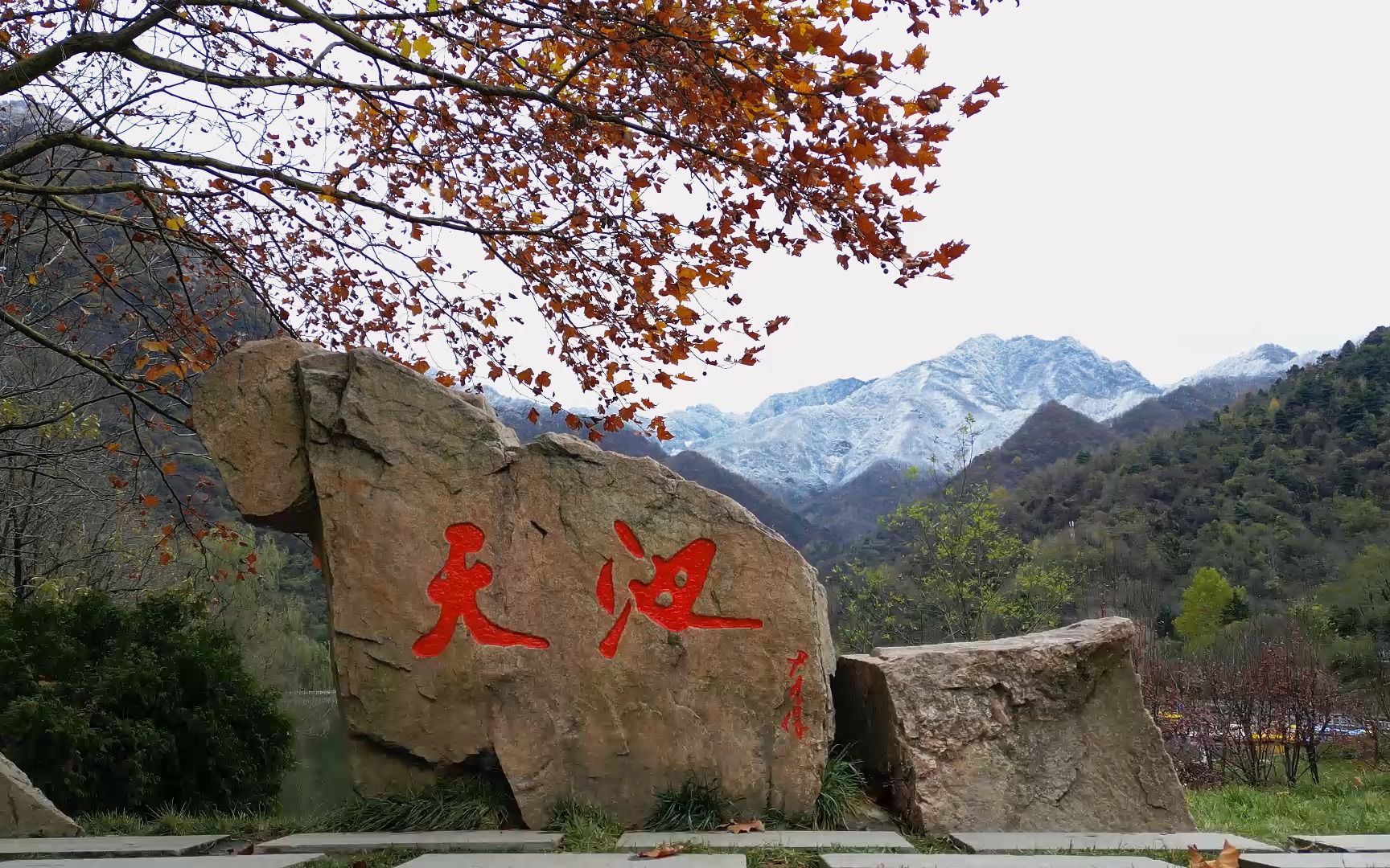 西安翠华山,2022初雪掩秋色