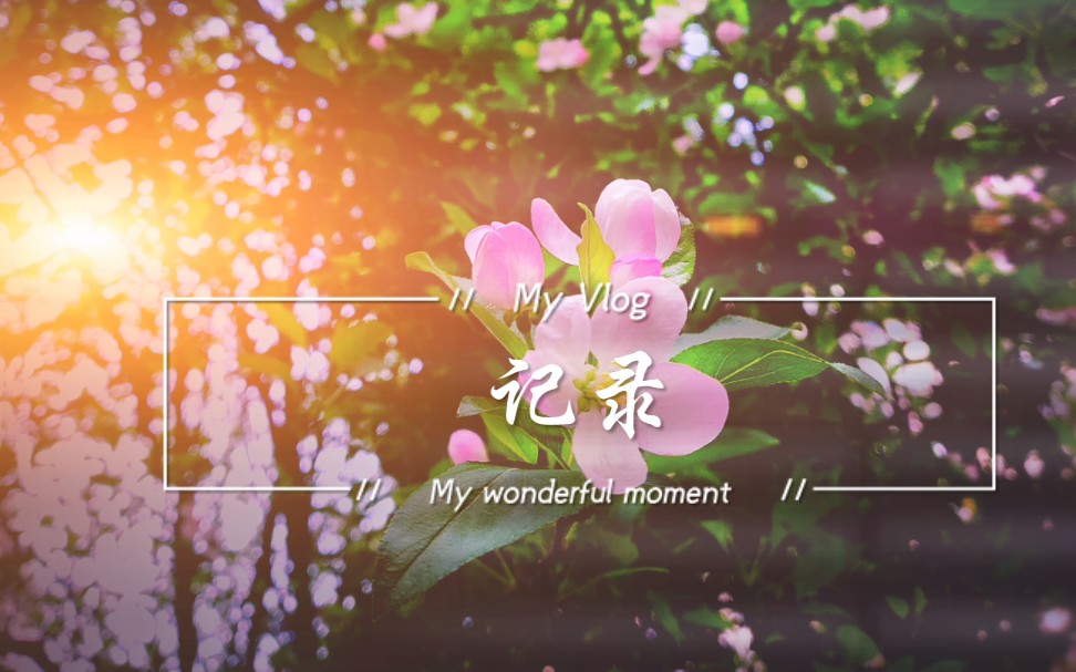 活动作品转角遇到它她他