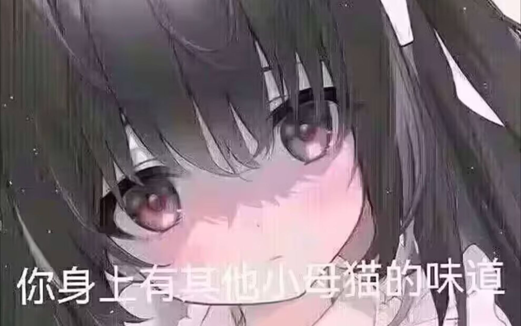 群友们的奇怪表情包(1054)哔哩哔哩bilibili