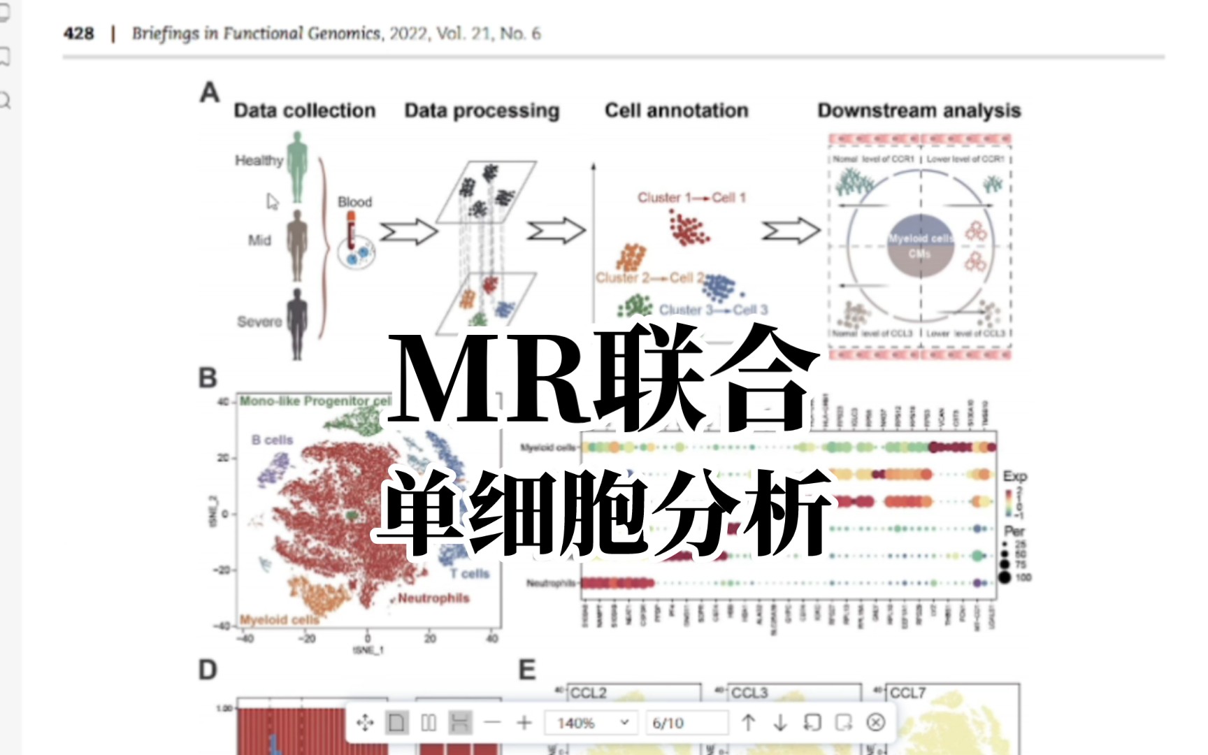 【孟德尔结合】MR联合单细胞分析挖掘关键基因哔哩哔哩bilibili