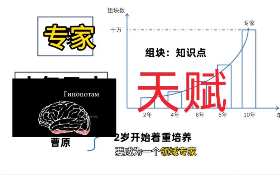 组块,智商,天赋与努力!学习的底层思维逻辑!哔哩哔哩bilibili